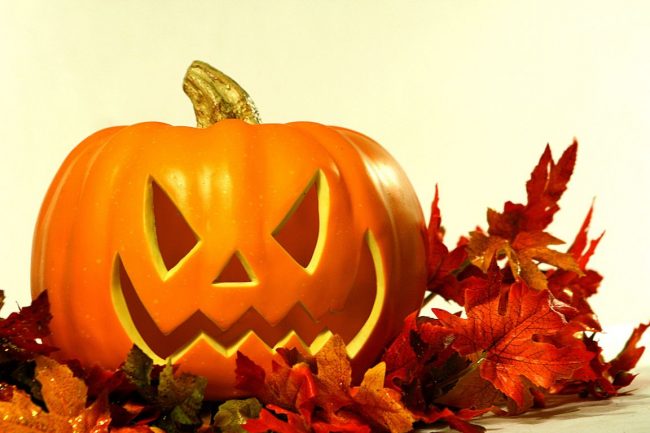 pumpkin-2